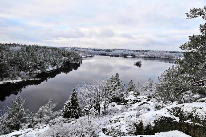1-Day Small-Group Stockholm Nature Hiking - Why This Stockholm Nature Hike Feels Local