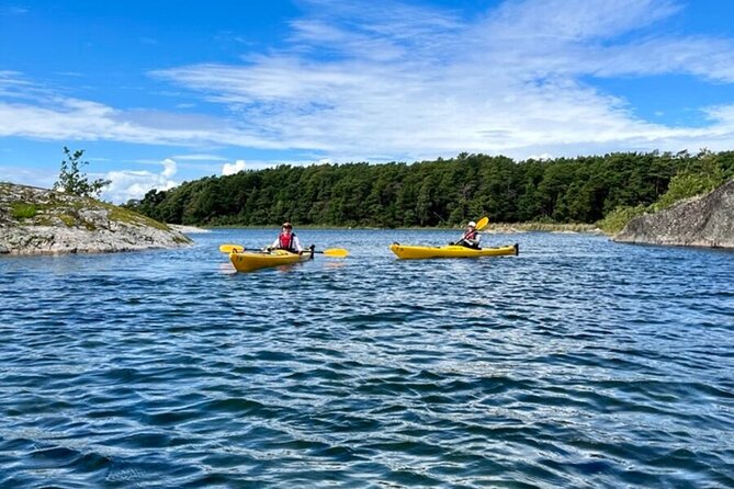 2-Day Kayak Tour in the Stockholm Archipelago - Morning Paddle (10:30 Onward): Quiet Islands, Wide Views, and Bird Spotting