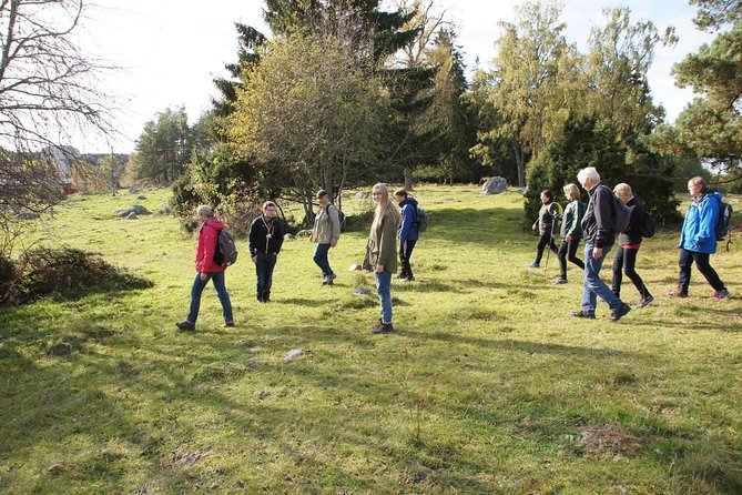 3-4h Viking History Short Day Tour from Stockholm - What’s included, what’s not, and why it affects value