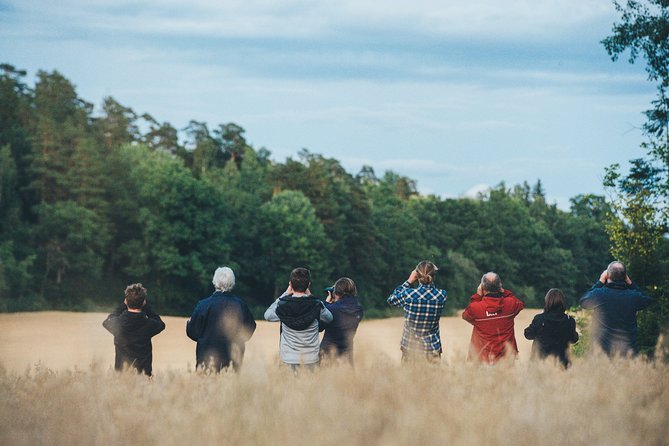Evening Wildlife Safari Stockholm - Green Trails to Bergåsa Gård: the key reasons this safari works
