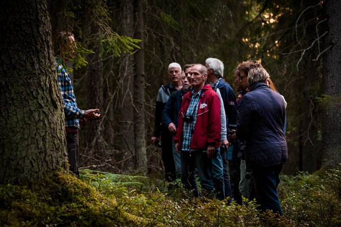 Evening Wildlife Safari Stockholm - Campfire dinner, Swedish fika, and staying warm without overthinking it