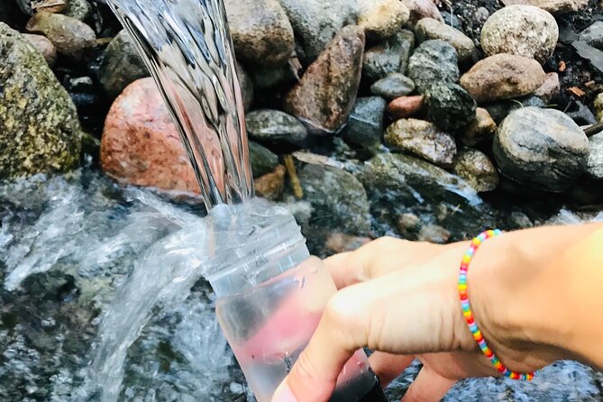 Forestbathing Slow Walking and Healing Spring Water, Stockholm - Key highlights at a glance