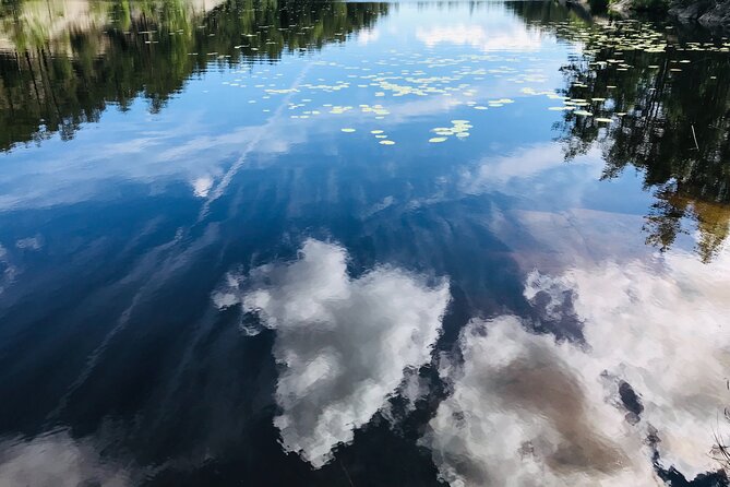 Forestbathing Slow Walking and Healing Spring Water, Stockholm - Meditation on your terms (and a mindful return walk)