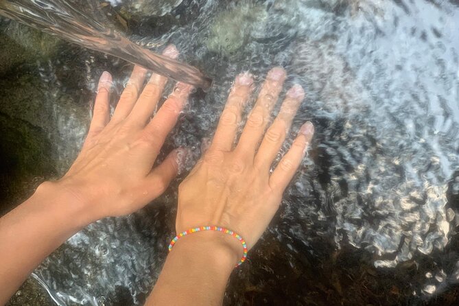 Forestbathing Slow Walking and Healing Spring Water, Stockholm - Getting there: pickup that saves you stress