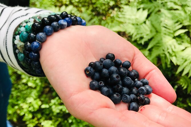 Forestbathing Slow Walking and Healing Spring Water, Stockholm - The 4-hour rhythm: walking, fika, and a reset moment