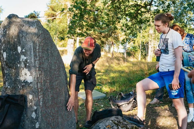 From Stockholm: Moose & Wildlife Safari with Campfire Dinner - Campfire storytelling: learning how Swedish wildlife moves and survives