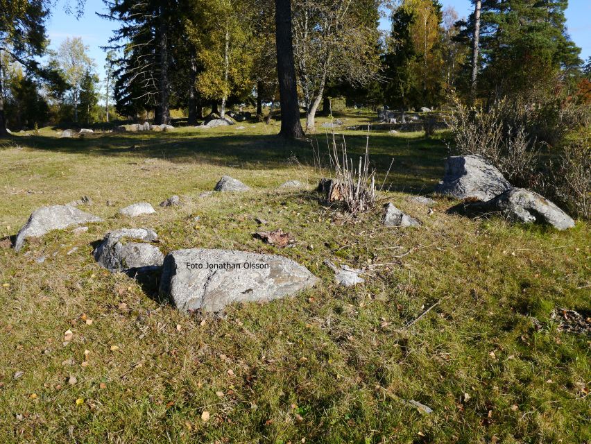 From Stockholm: Viking Culture and Heritage Small Group Tour - Who This Tour Is For (and Who Might Skip It)