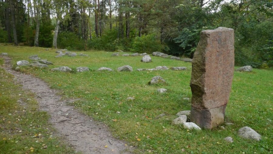 From Stockholm: Viking Culture Guided Tour with Transfer - The Viking council stop: seeing society, not just objects