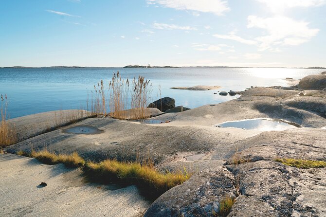 Guided 3-Day Kayak and Wildcamp Tour in Stockholm Archipelago - Swim time, and the algae question you should take seriously