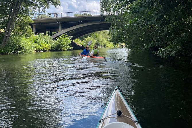Guided Kayak Tour in Central Stockholm - Price and value: is $78.14 for 3 hours worth it?