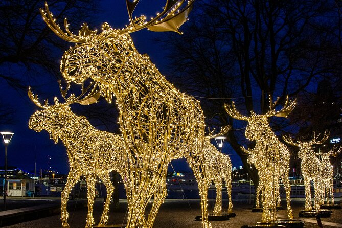 Guided Stockholm Christmas Tour - Beyond Old Town: lights, viewpoints, and the tallest Christmas tree moment