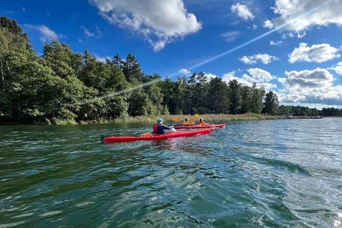 Kayak Tour in the Stockholm Archipelago with Lunch Meal - Double vs single kayaks: comfort, stability, and control