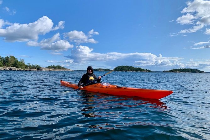 Kayak Tour in the Stockholm Archipelago with Lunch Meal - Wildlife spotting in the Stockholm Archipelago without the pressure