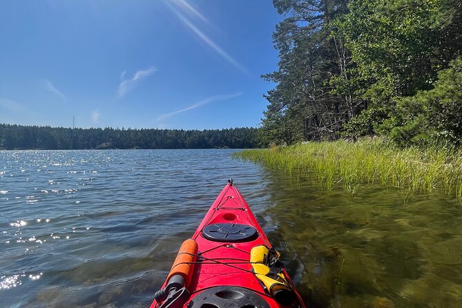 Kayak Tour in the Stockholm Archipelago with Lunch Meal - Swedish fika with coffee and pastries: the gentle landing