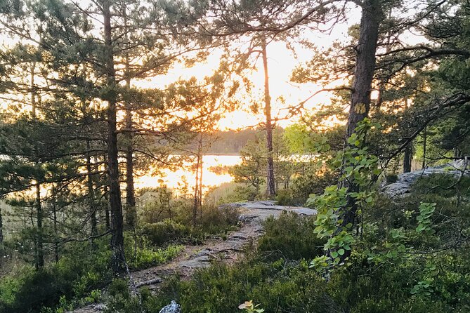 Midnight Sun and Campfire - National Park evening hike Stockholm - Tyresta at 6:30 pm: why this timing matters in Stockholm