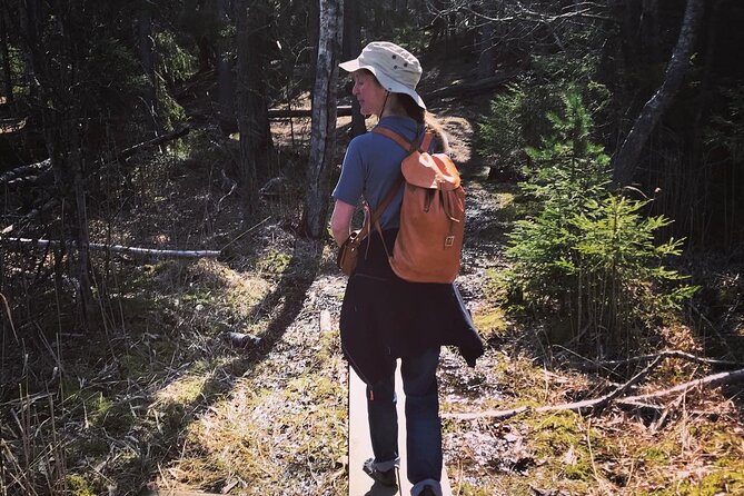 Midnight Sun and Campfire - National Park evening hike Stockholm - Entering an old primeval forest without a hard workout