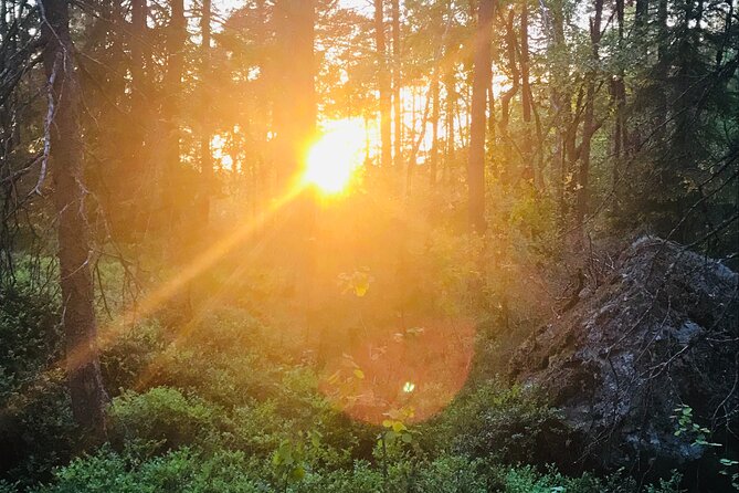 Midnight Sun and Campfire - National Park evening hike Stockholm - Eco-friendly and local-led: what that means on the ground