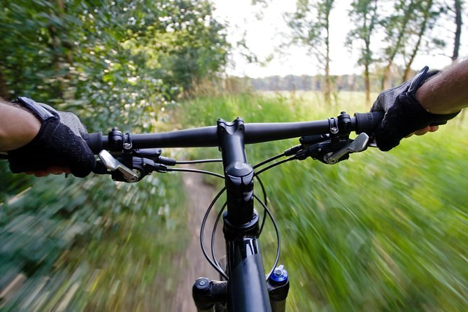 Mountain Biking Small-Group in Stockholm Forests for Beginners - What you get for $144: bike, guide, lunch, and Swedish fika