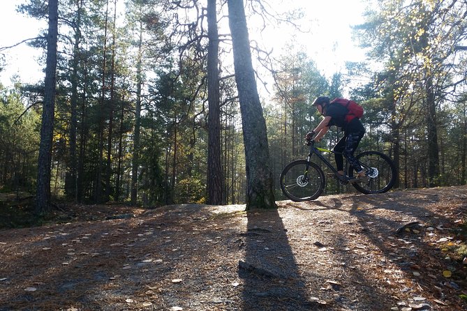 Mountain Biking Small-Group in Stockholm Forests for Beginners - Trail mix and difficulty: what you’ll likely feel in your legs