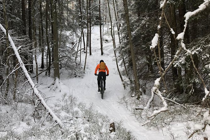 Mountain Biking Small-Group in Stockholm Forests for Beginners - Riding gear: helmet included, clothes and shoes you bring