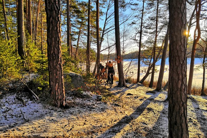Mountain Biking Small-Group in Stockholm Forests for Beginners - Safety equipment and what the guide actually handles