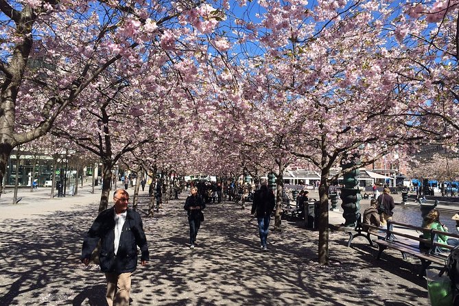 Private 4h VIP city tour by limousine car and guide in Stockholm - Djurgården Museum Island: ABBA, Vasa, and more in one breath