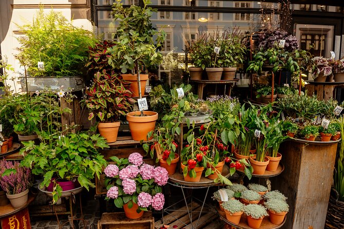 Private 90-Minute Walking Tour in Stockholm - Price and Value: What $98.18 Buys You