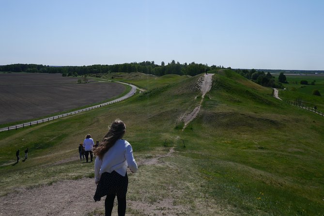 Private Full Day Viking History Tour from Stockholm Including Sigtuna and Uppsala - Uppsala Domkyrka and Old Uppsala: where Sweden’s early big story takes shape