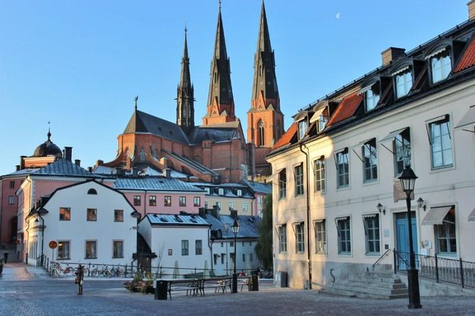 ROYAL Uppsala and VIKING Sigtuna PRIVATE Tour - Value check: what $509.93 buys you when stops are ticket-free