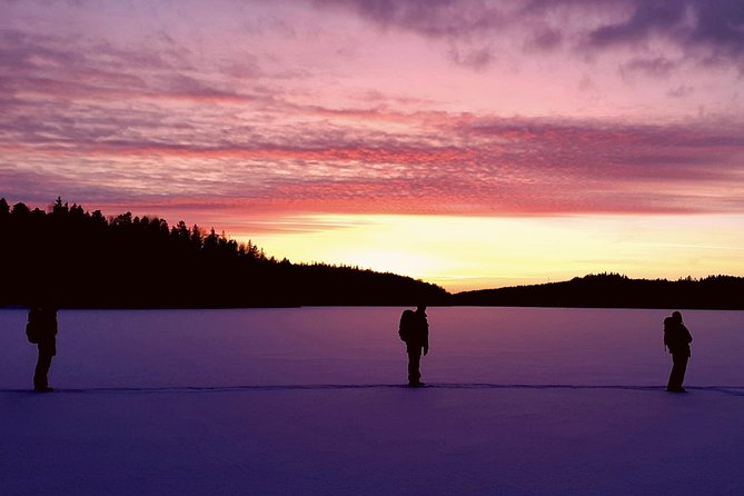 Snowshoe Winter Hike from Stockholm - Why this winter hike feels special near Stockholm