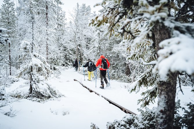 Snowshoe Winter Hike from Stockholm - What you get before the hike: gear, tutorial, and confidence