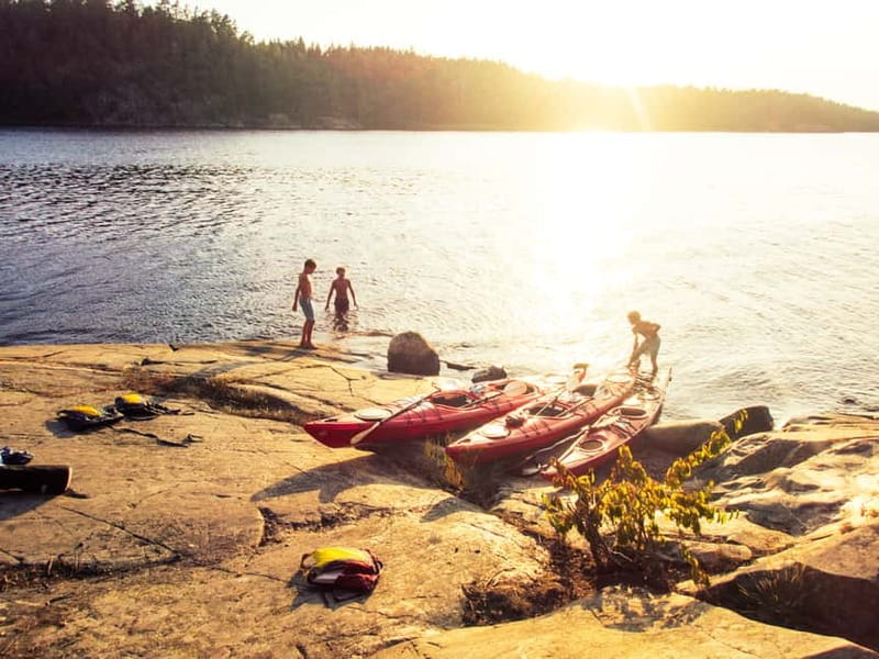 Stockholm: Archipelago Islands Kayak Tour and Outdoor Picnic - Wildlife Chances and Why the Route Can Change