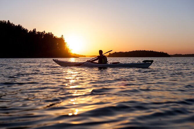 Stockholm Archipelago Sunset Kayaking and Fika tour - Sunset Kayaking from Vaxholm: Why This Evening Feels Different