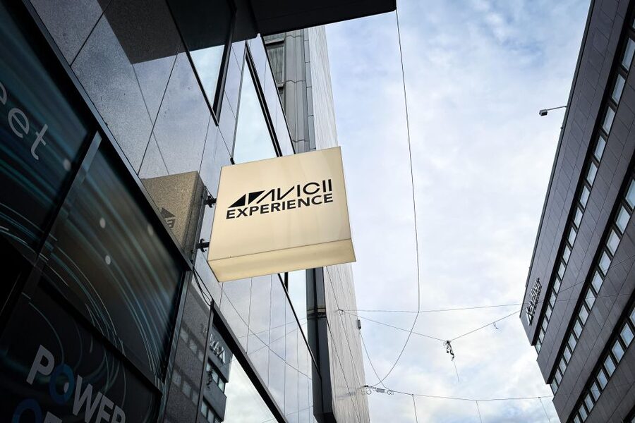 Stockholm: Avicii Experience Skip-the-Line Entrance Ticket - Who this fits best (and who might not love it)