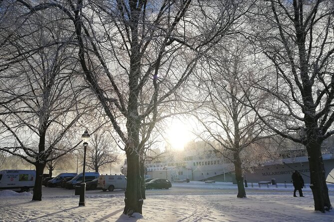 Stockholm Christmas Tour and Food Tasting Experience - Stop-by-stop: Stortorget to Kungsträdgården