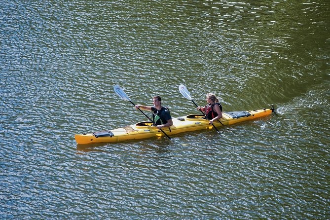 Stockholm City Evening Kayak Tour - Midsummer meal stop: food plus local stories, not a random picnic