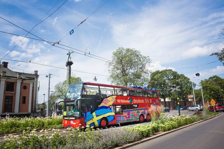 Stockholm: City Sightseeing Hop-On Hop-Off Bus Tour - Cruise-terminal loops: how not to lose your ship time