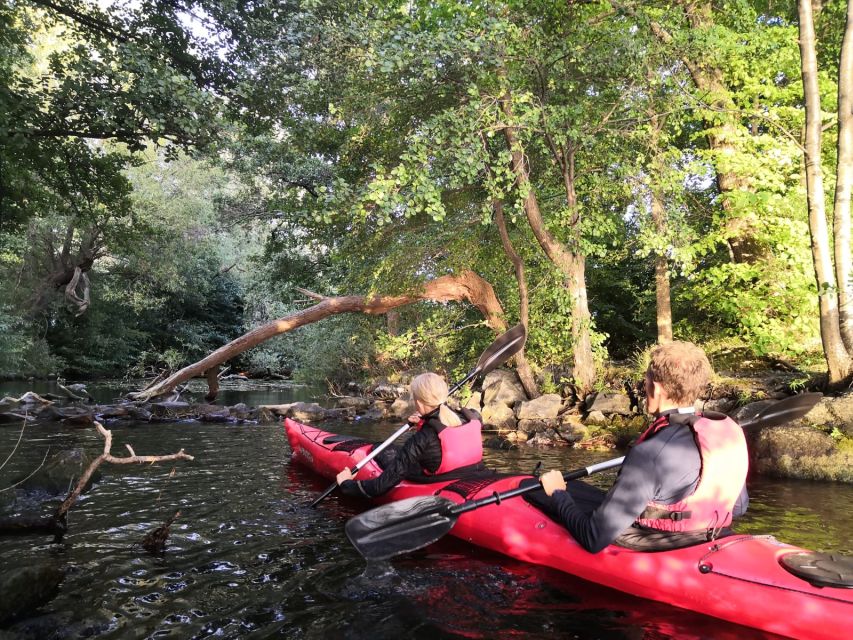 Stockholm Evening Kayak with BBQ. - Price and logistics: is $141 worth your evening?
