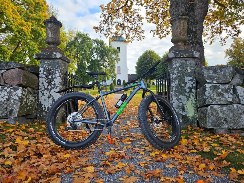 Stockholm: Fat Bike Forest Adventure with Lunch and Sauna - Break time and free time: reset, take photos, and catch your breath