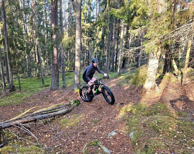 Stockholm: Fat Bike Forest Adventure with Lunch and Sauna - Who should book this fat bike forest adventure