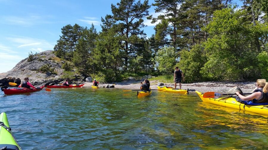 Stockholm: Full-Day Archipelago Kayaking Adventure - Wildlife Moments: Seals, Eagles, and How to Not Spoil Them