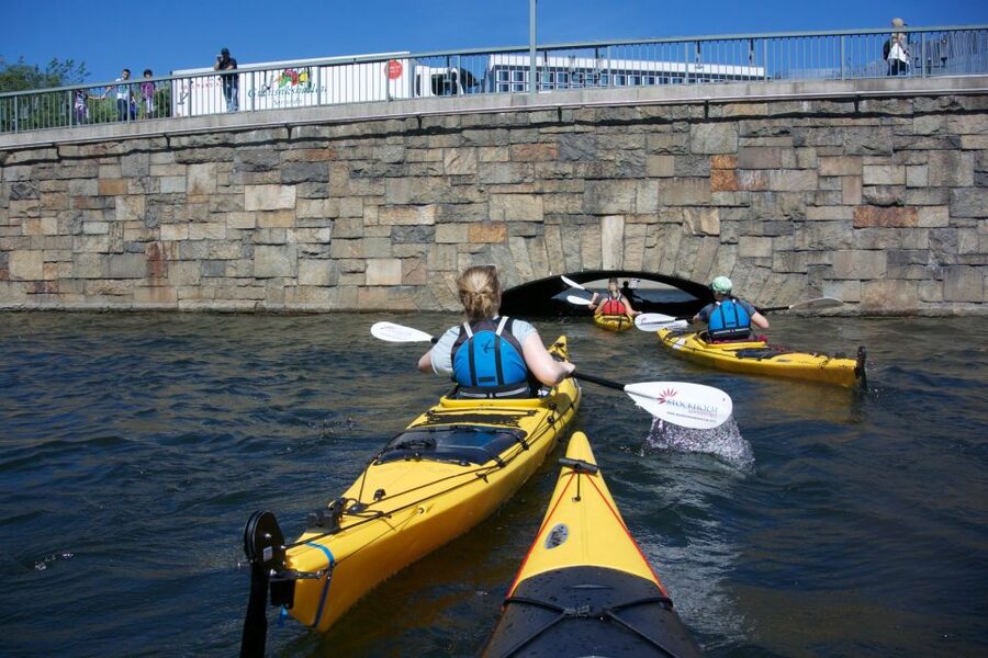 Stockholm: Guided Kayak City Tour & Optional Midsummer Meal - Who Should Book This, and Who Might Skip It