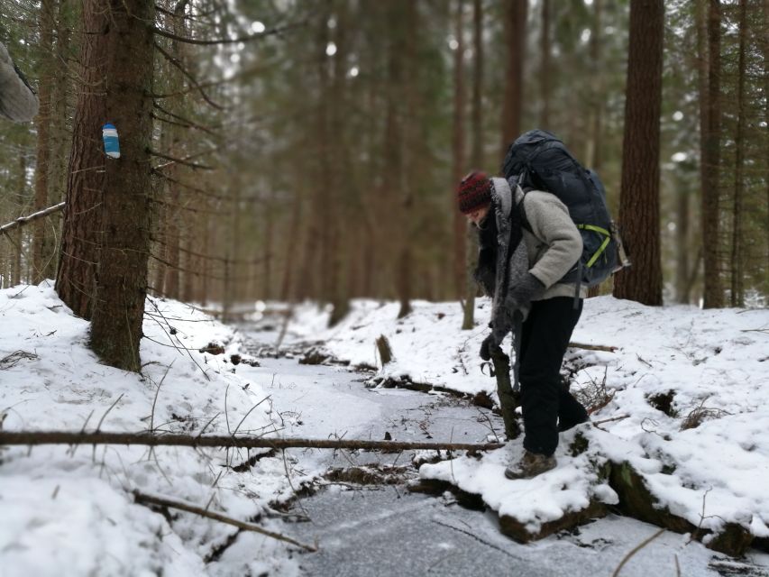 Stockholm: Nature Hike with Campfire Lunch - Getting there: the 15-minute ride and the start line outside the city