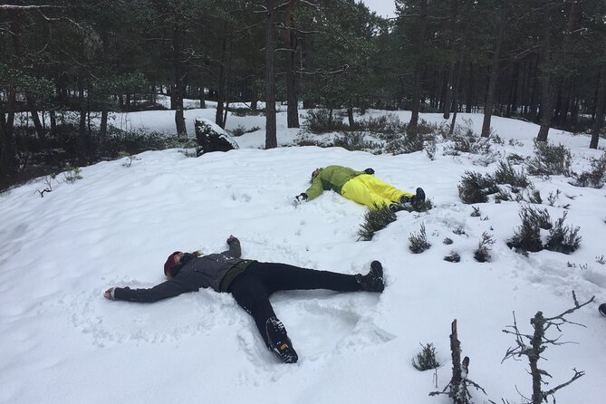 Stockholm: Nature Reserve Hiking Tour with Campfire Lunch - Key highlights to know before you go