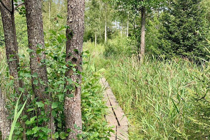 Stockholm: Nature Reserve Hiking Tour with Campfire Lunch - Campfire lunch and Swedish fika: the break that makes the day work