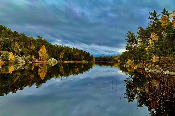 Stockholm: Nature Reserve Hiking Tour with Campfire Lunch - How much hiking is it, really? (Pace, effort, and what to expect)