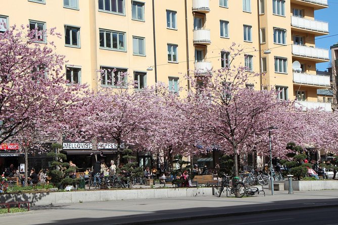 Stockholm Private Tour with a Local: Hip & Bohemian Sodermalm 3hr - Meeting point math: starting at NK Korv & Glass