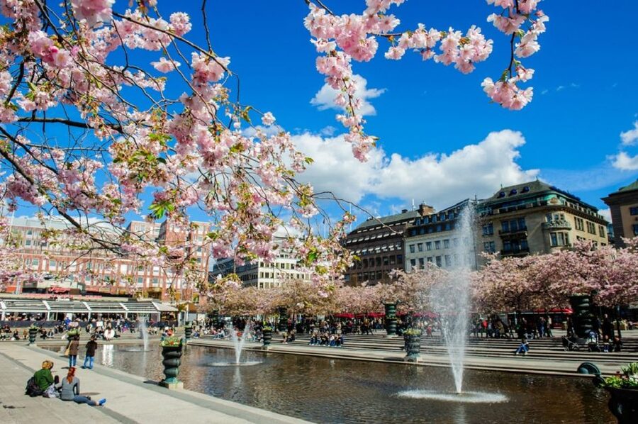 Stockholm: Self Guided GPS Bike Tour - Parks and urban nature: the ride breaks for you