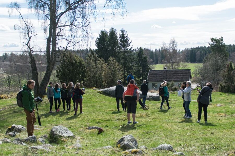 Stockholm: Sigtuna and Uppsala Viking History Day Tour - Key highlights you won’t want to miss