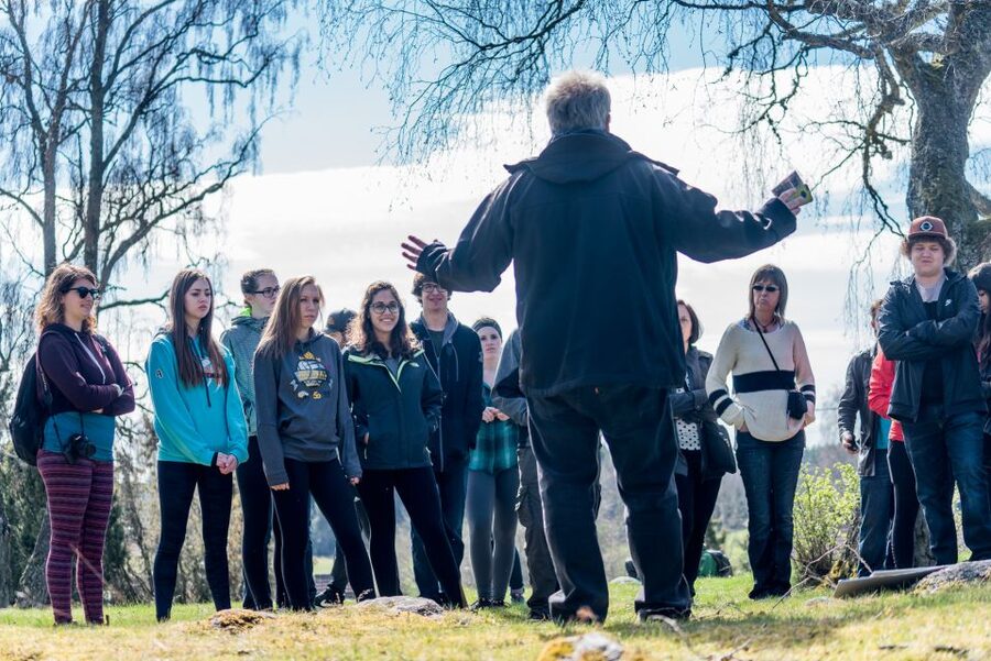 Stockholm: Sigtuna and Uppsala Viking History Day Tour - Pacing, timing, and comfort for 8.5 hours on the move